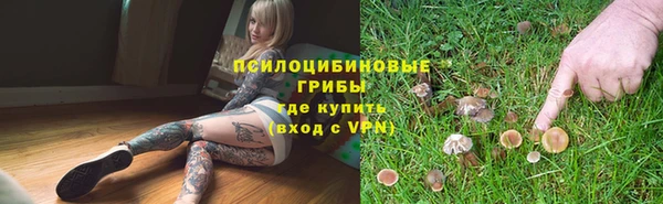 экстази Белокуриха