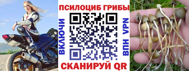 Галлюциногенные грибы Magic Shrooms  Малмыж 